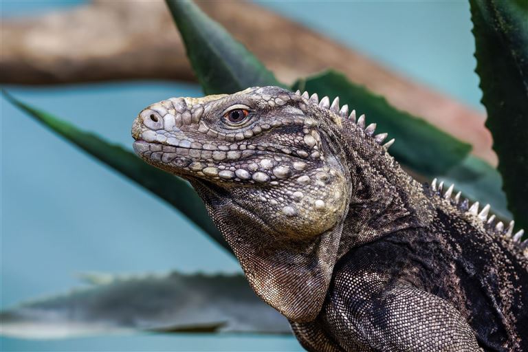 Ecuador auténtico ©Michael/adobestock